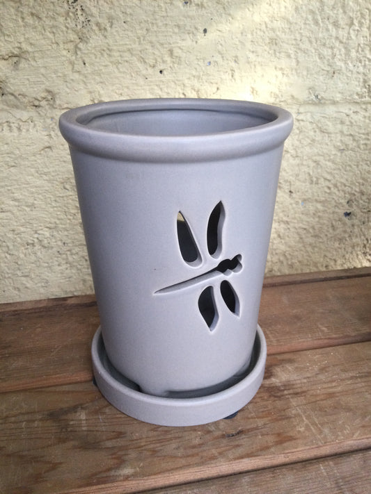 4' butterfly orchid pot