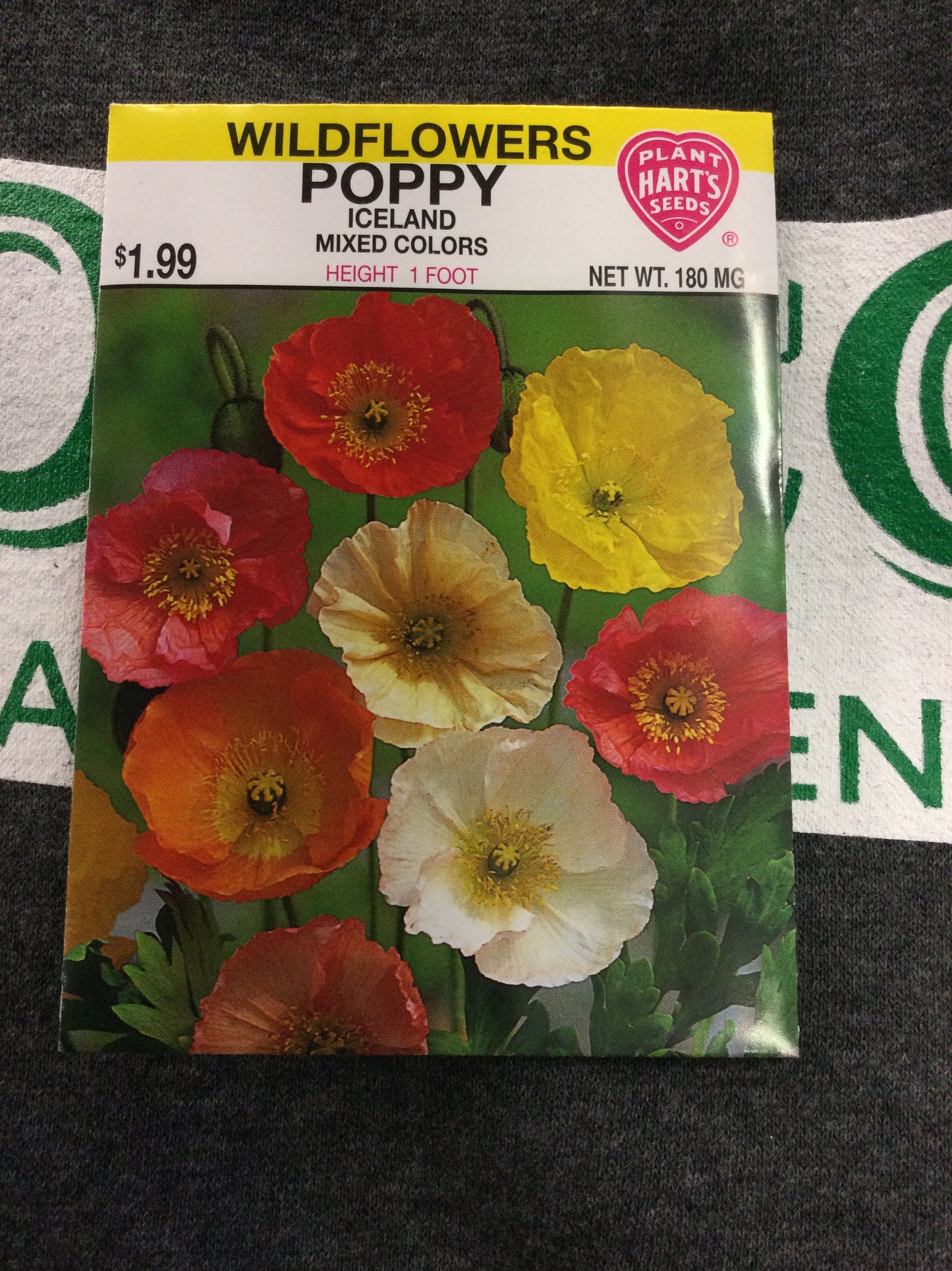 Poppy Iceland