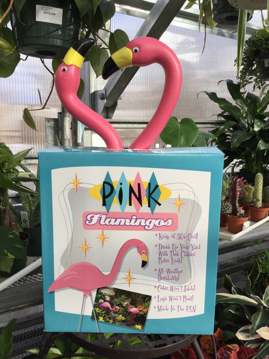 Pink Flamingo 2pk