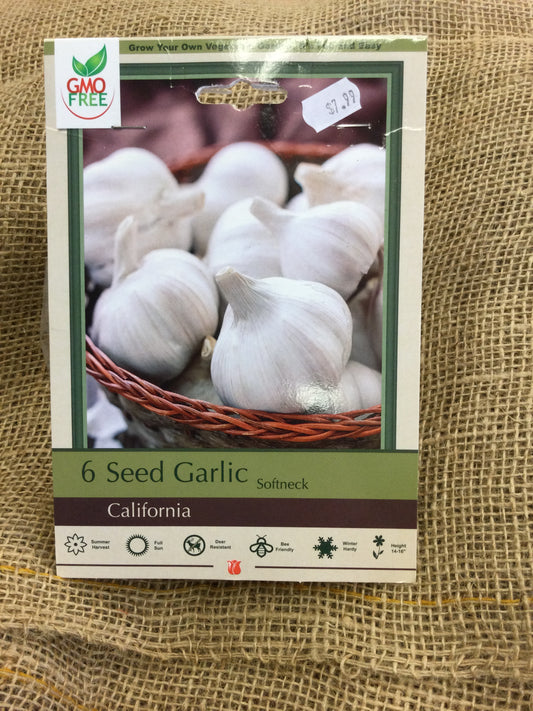 Seed garlic 6pk