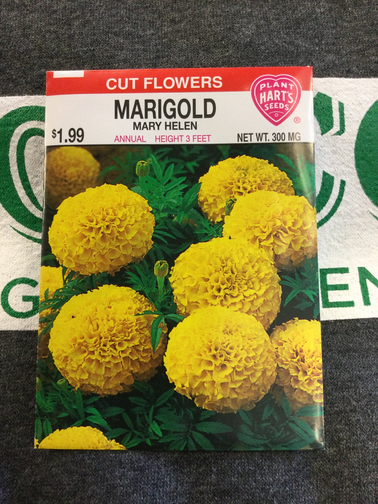 Marigold Mary Helen