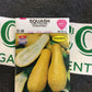 Squash Straightneck
