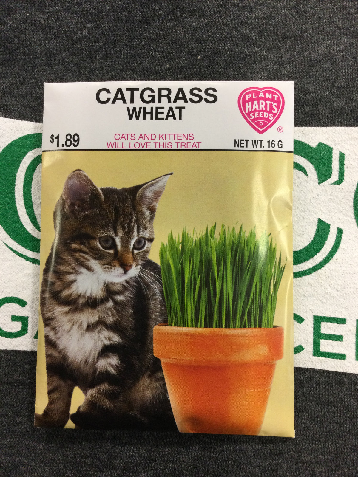 Catgrass