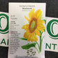Sunflower Mammoth
