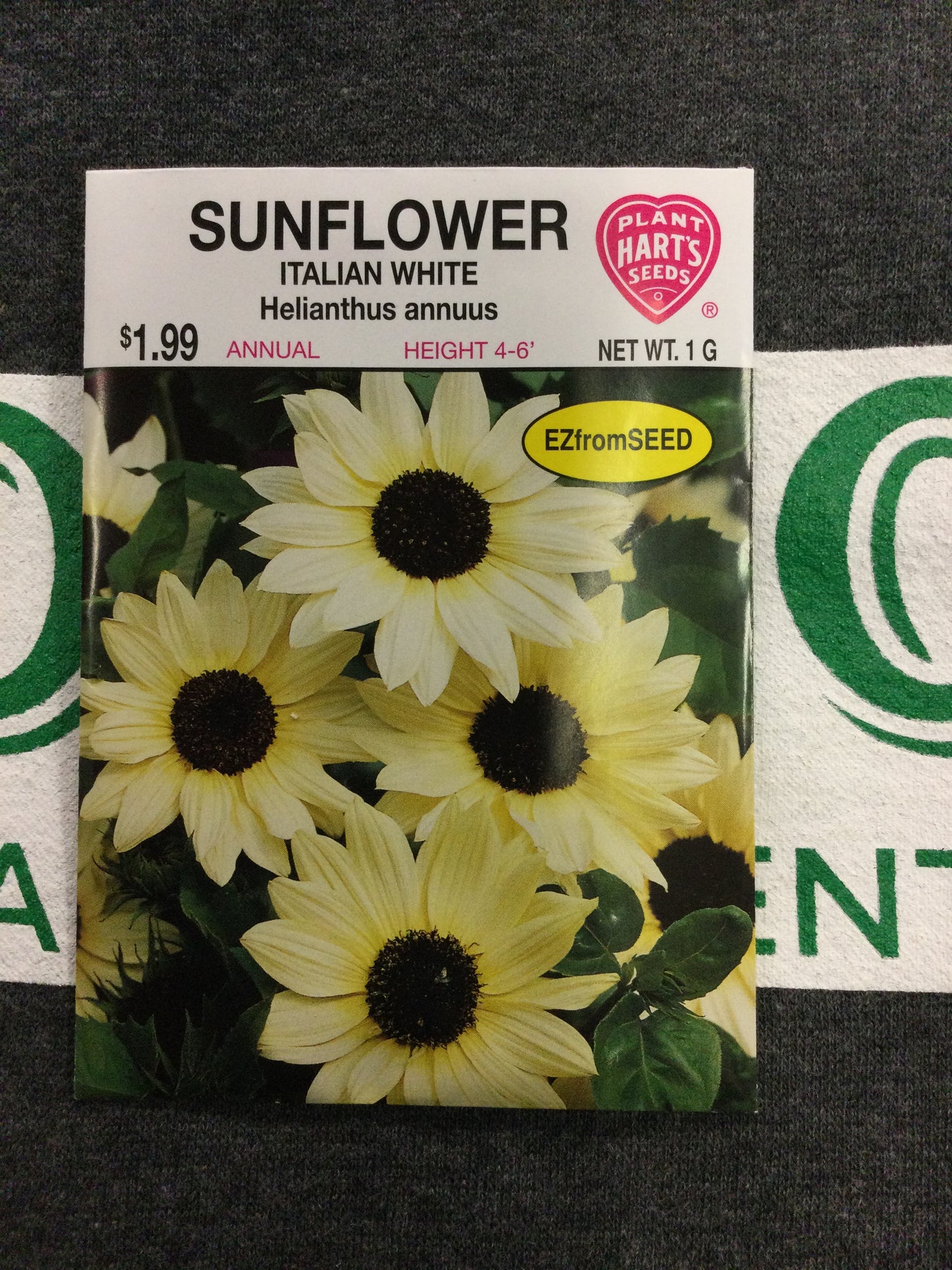 Sunflower Italian White