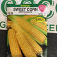 Corn Early Sunglow- Yellow