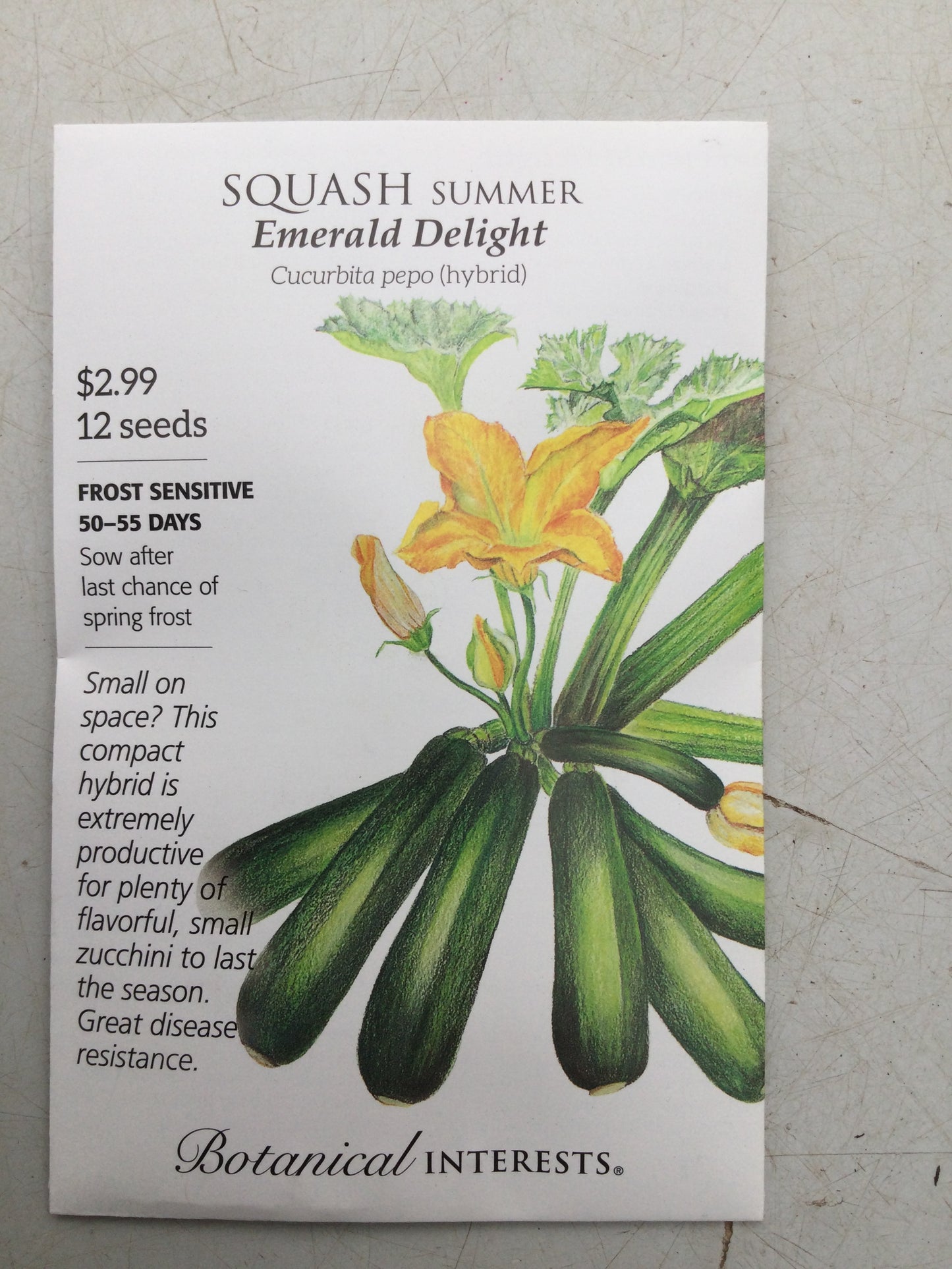 Squash Summer Emerald hybrid
