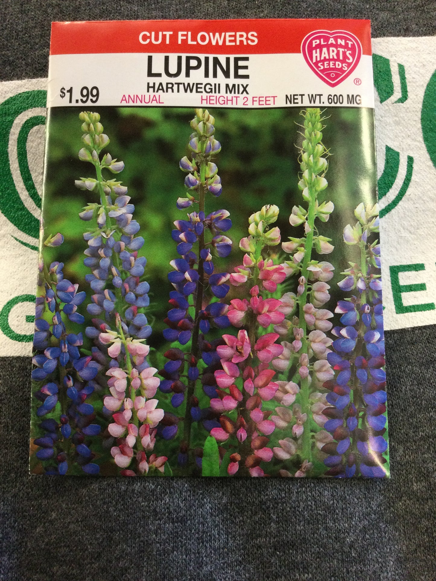 Lupine Hartwegii