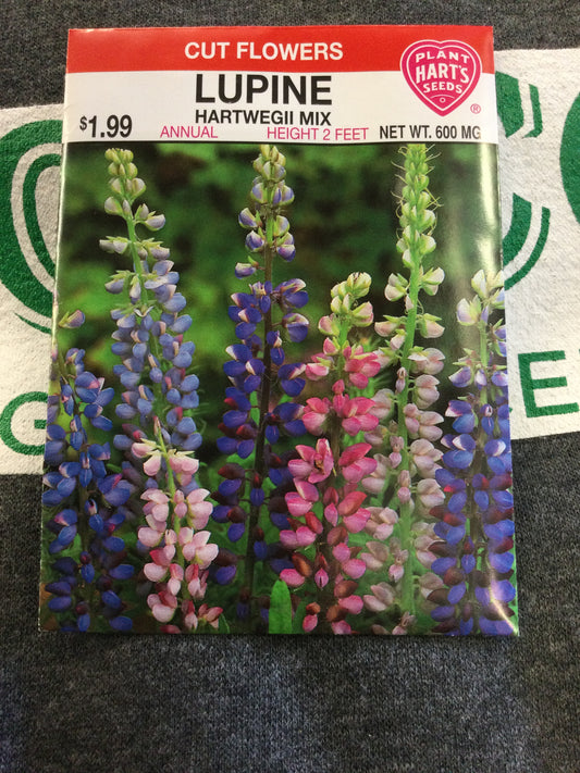 Lupine Hartwegii