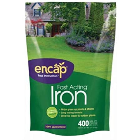 Fast Iron 2.5lb