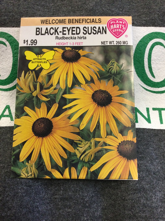 Black Eyed Susan