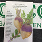Rutabaga American Purple