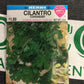 Herb Cilantro
