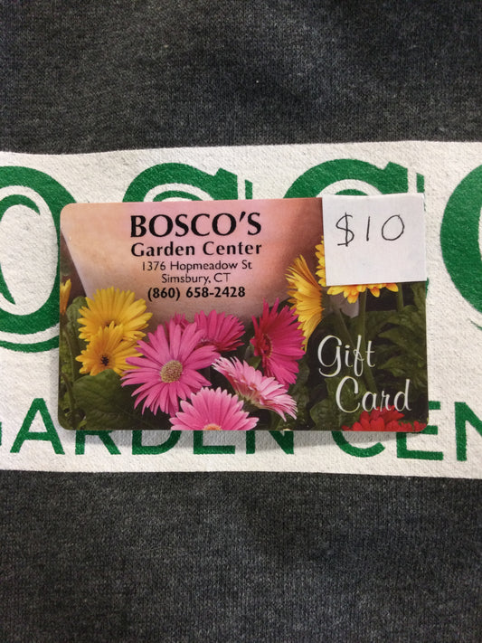 $10 Gift card