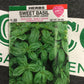 Herb Sweet Basil