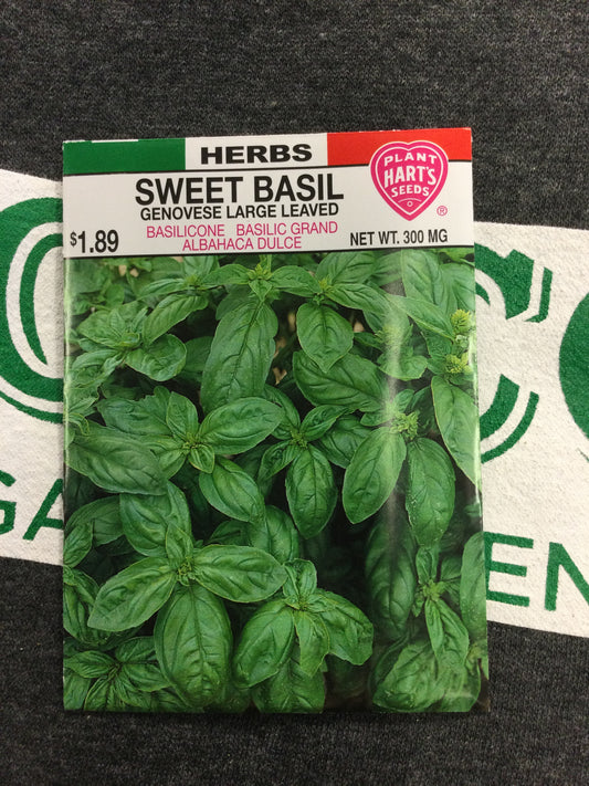 Herb Sweet Basil