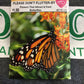 Beneficials-Please Dont Flutter By