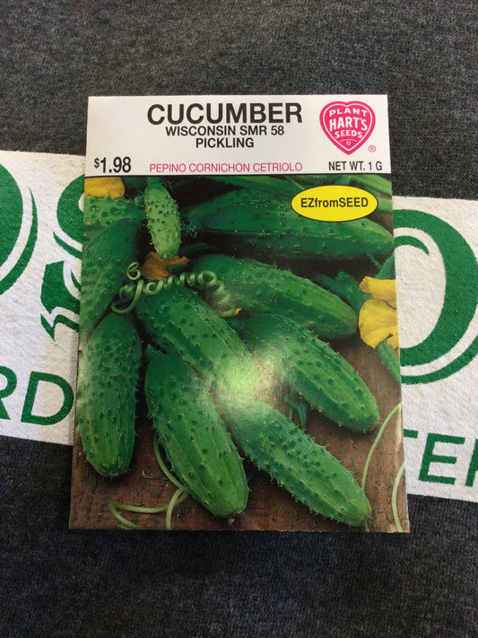 Cucumber Wisconsin Pickling