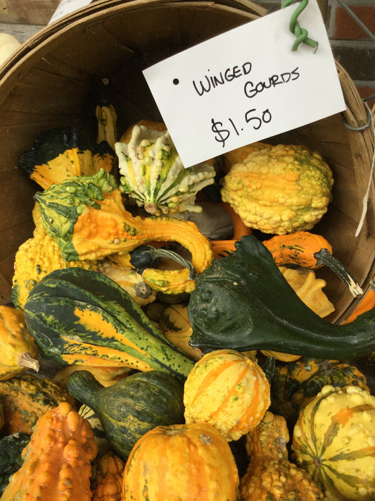 Winged gourds