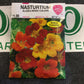 Nasturtium Alaska