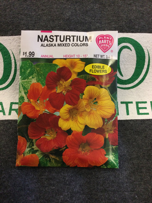 Nasturtium Alaska