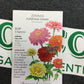 Zinnia California Giants
