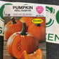 Pumpkin Small Sugar