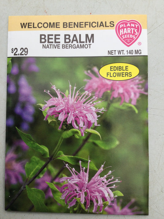 Bee Balm Native