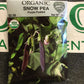 Organic Snow Pea Purple Podded