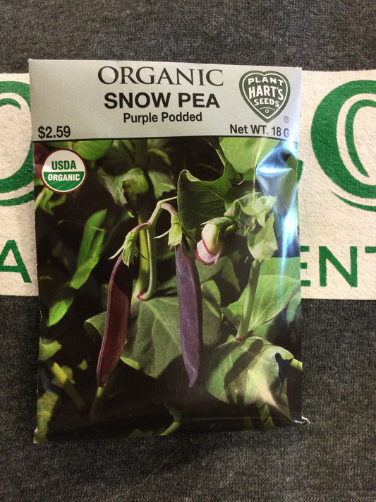 Organic Snow Pea Purple Podded