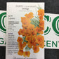 Poppy California Orange