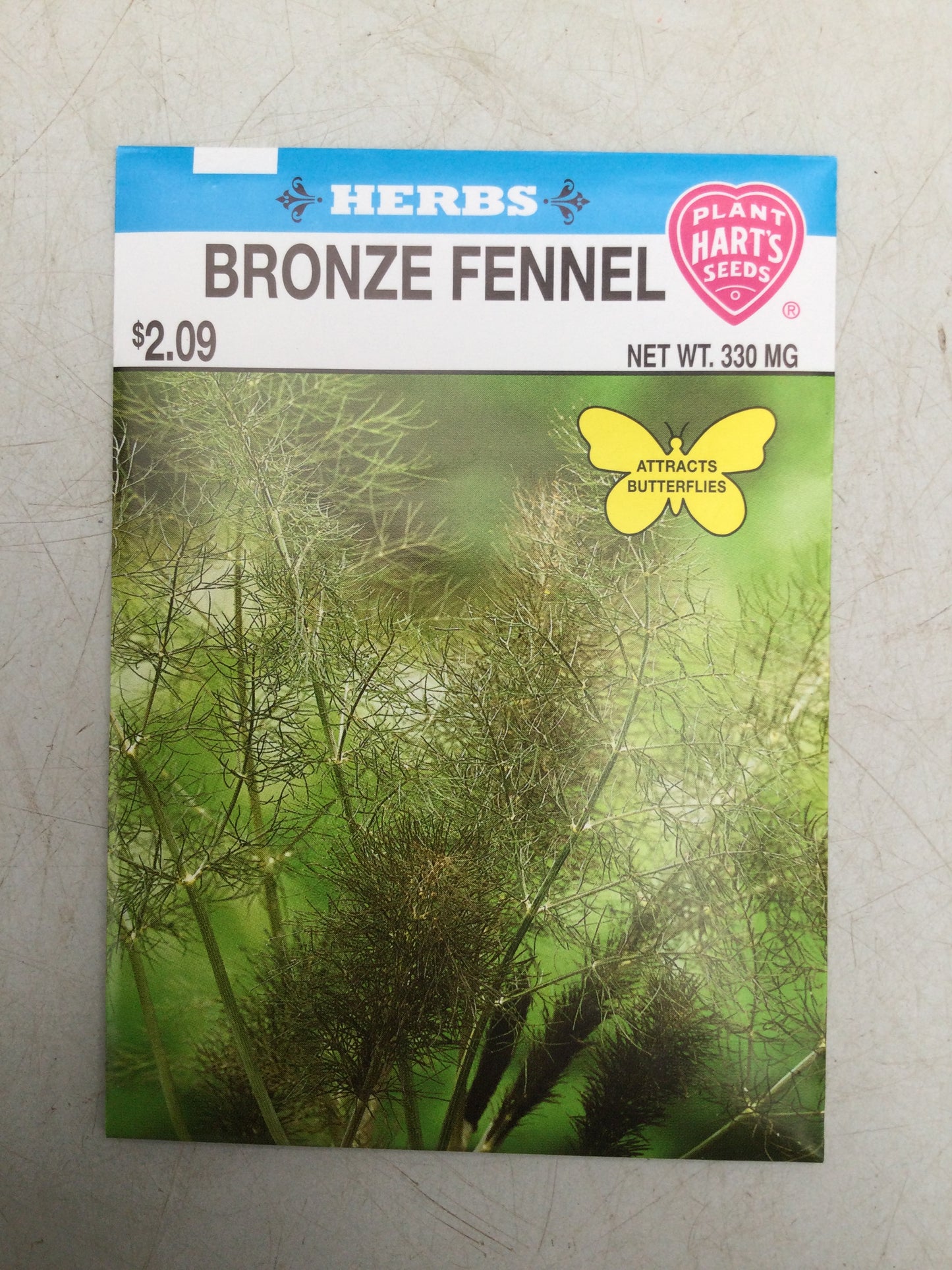 Herb Bronze Fennel