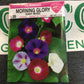 Morning Glory Giant Mixed
