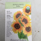 Sunflower Zohar hybrid ORG