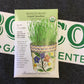 ORG Wheatgrass