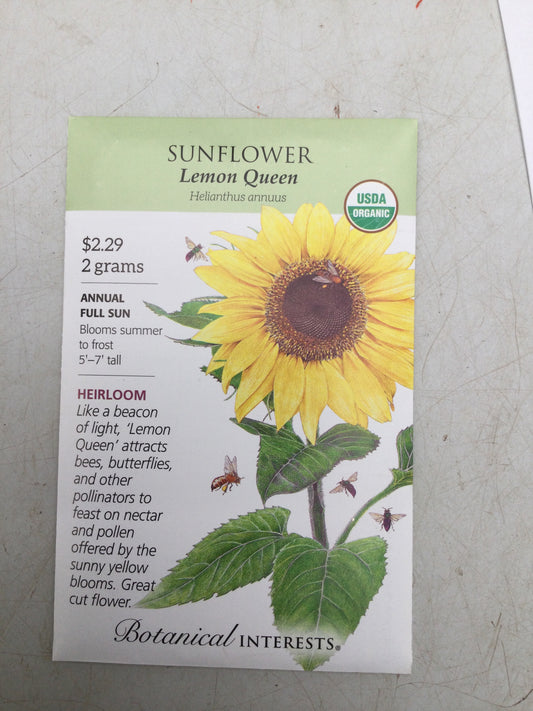 Sunflower Lemon Queen ORG