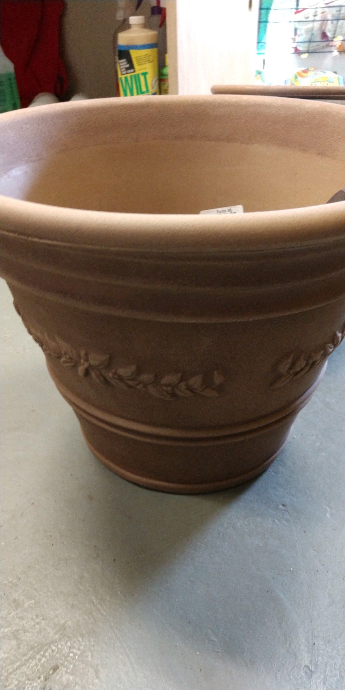 16" Vaso pot wlnt