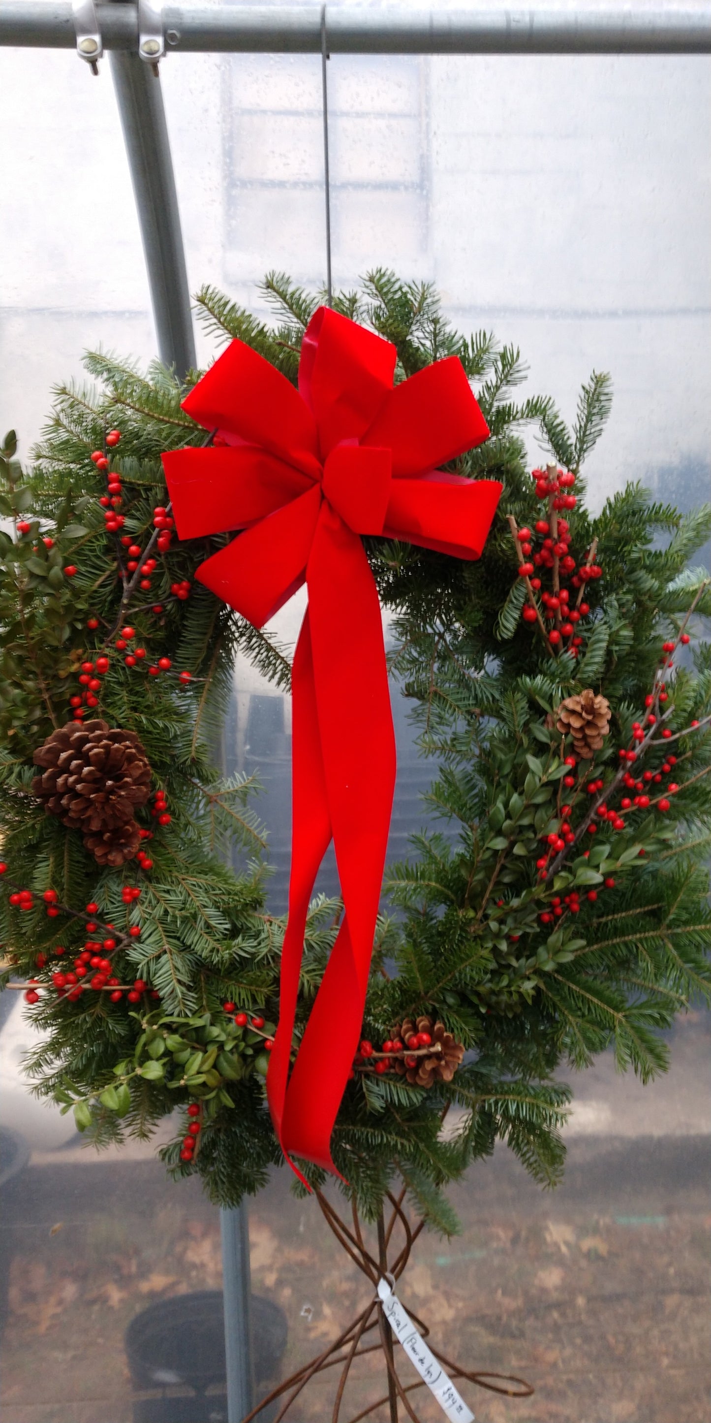wreath w/ cone & berry 16"