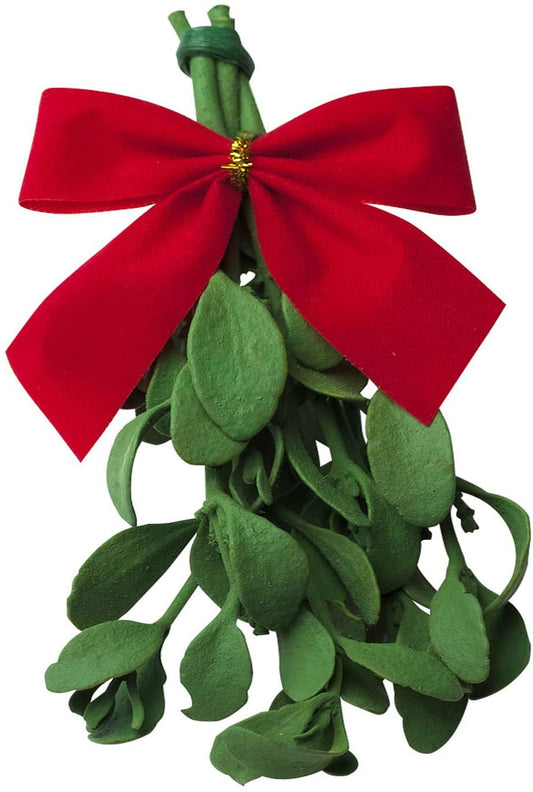 preserved mistletoe