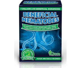 beneficial nematodes