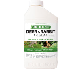 deer & Rabbit con 32oz