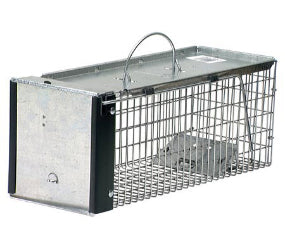 live animal trap chipmunk