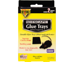 glue trap 2pk