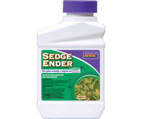 Sedge Ender 16oz Con