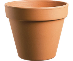 6" caribbean clay pot