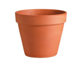 10.6" clay pot