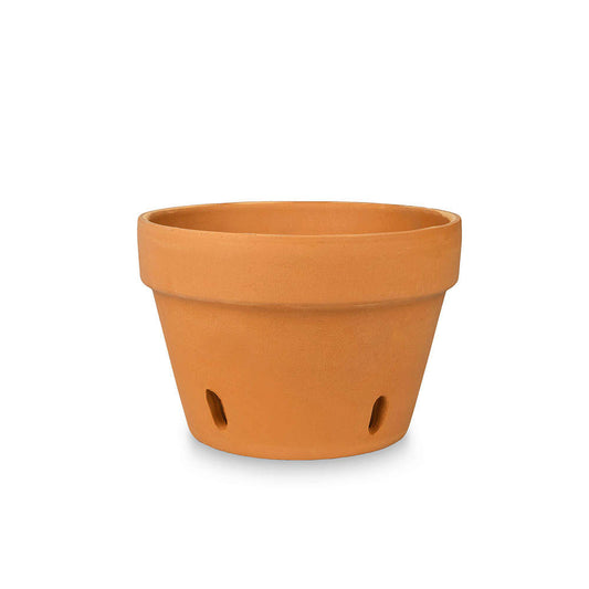 4' Clay Orchid Pot
