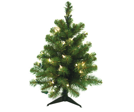 3" Norway spruce 100 cl