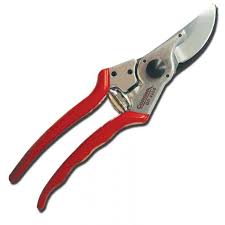 Corona Branch Pruner 1/2'
