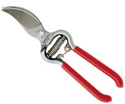 Corona Branch Pruner 3/4'